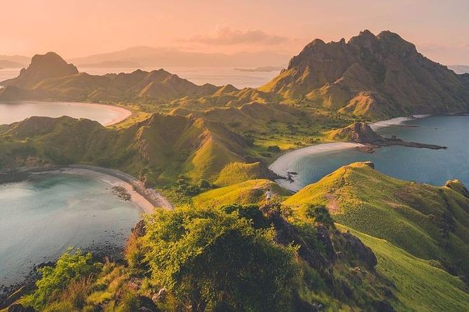 1 Day Komodo Trip by Private Fast Boat - Lunch, fruit, soft drinks, and the value of staying fueled