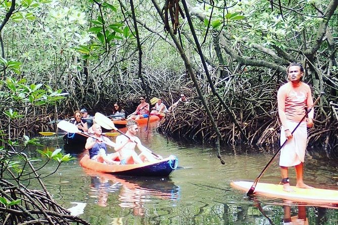 1 Hour Mangrove Tour From Lembongan with Kayak, Paddle, or Boat - Quick take: what I’d watch for
