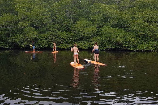 1 Hour Mangrove Tour From Lembongan with Kayak, Paddle, or Boat - Getting there: the real value is you do not need a scooter