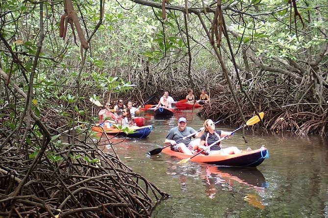 1 Hour Mangrove Tour From Lembongan with Kayak, Paddle, or Boat - Timing and boat traffic: the two things that can change your mood