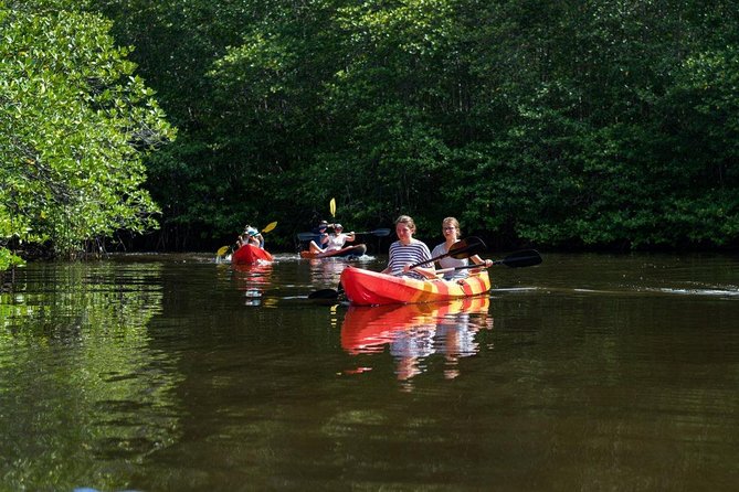1 Hour Mangrove Tour From Lembongan with Kayak, Paddle, or Boat - Where Nusa Lembongan’s mangroves actually feel different