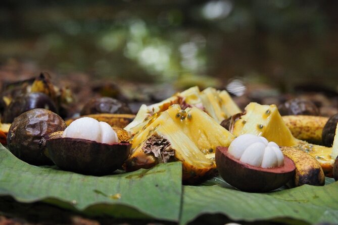 2-Day Jungle Trekking & Rafting in North Sumatra - Day 2: morning wildlife chances and your second trek block
