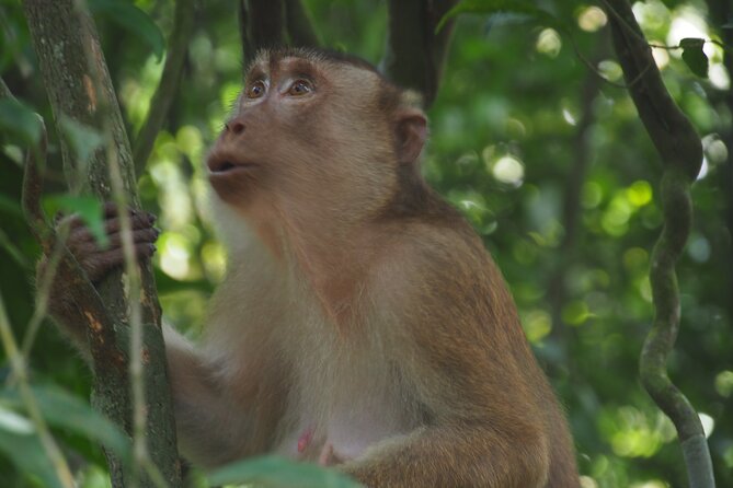 2-Day Jungle Trekking & Rafting in North Sumatra - Rafting back to Bukit Lawang: the energy shift you need