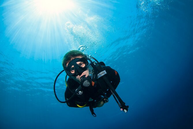 2 Days & 1 Night - 2 Dives in Lembongan/Penida (for certified divers) - Key highlights worth building your plan around