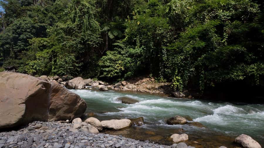 2 Days 1 Night Orangutan Trek Bukit Lawang - Entering Gunung Leuser: What the First Day Really Feels Like