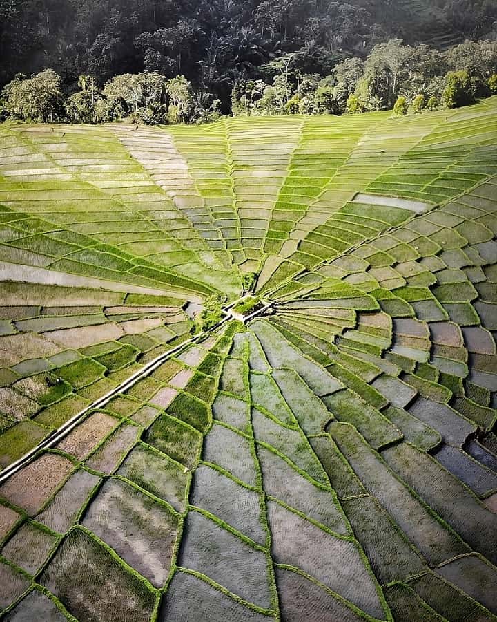 2D1N Exotic Waerebo Village Tour from Labuan Bajo - Key Points Worth Your Time