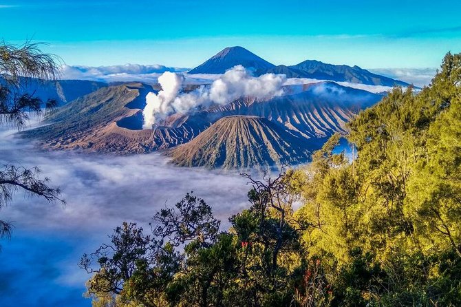2Days - Bromo Sunrise Ijen Adventure via Malang - Bondowoso overnight: the secret ingredient between volcanoes