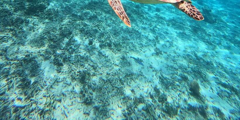 3 Gili island: snorkeling & turtle sanctuary gopro included - A half-day private escape across 3 Gili islands