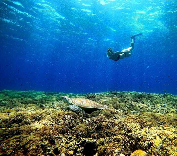 3 islands snorkeling & turtle sanctuary Gopro included - Stop 1: Underwater statue and blue corals, first contact with the reef