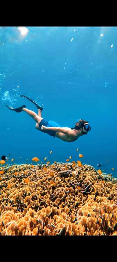 3 Islands Snorkeling with Glass Bottom Boat & GOPRO SHOOT - Price and logistics: is $13 really good value?