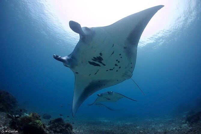 3D2N Sailing Komodo Living on Board Fiday to Sunday (Labuan Bajo) - Day 1: Kelor Island Views, a Trek for Dragons, and Kalong Sunset Bats