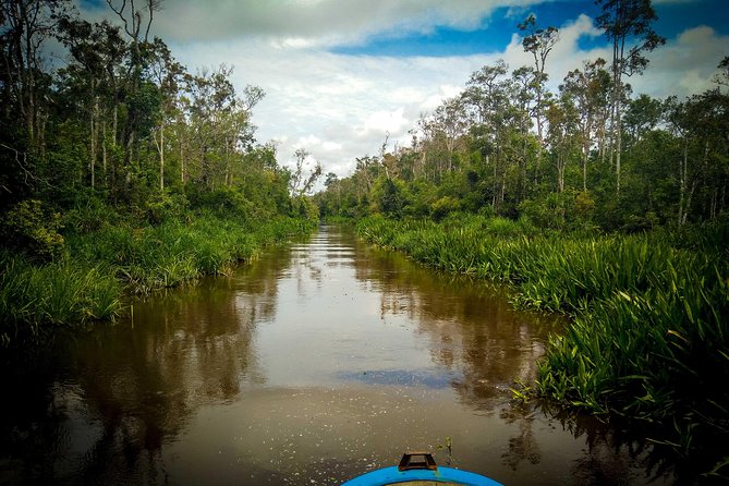 3ns Private Orangutan and Bornean Primates Kelotok Tour - Why a 4-day private klotok works better than “just a day trip”