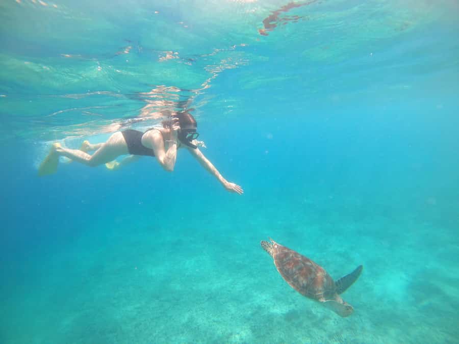 4 Hours Snorkeling 3 Gilis ( Trawangan,Meno, Gili air) - Key Points You’ll Care About