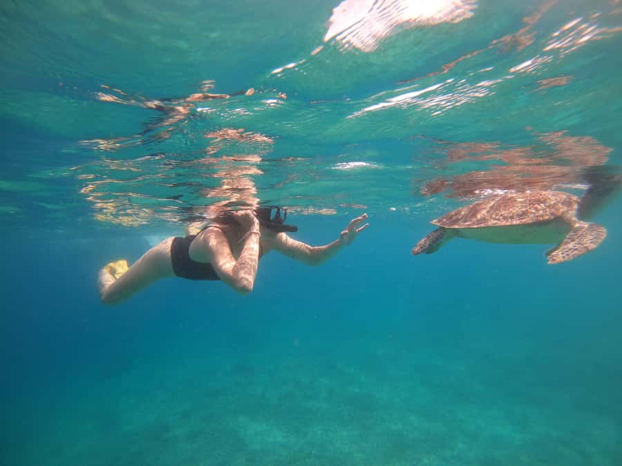 4 Hours Snorkeling 3 Gilis ( Trawangan,Meno, Gili air) - Photo Expectations: Crew Pictures and Your Best Angles