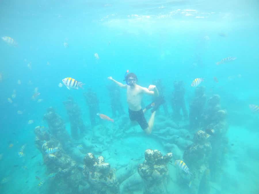 4 Hours Snorkeling 3 Gilis ( Trawangan,Meno, Gili air) - Price, Inclusions, and What Costs Extra