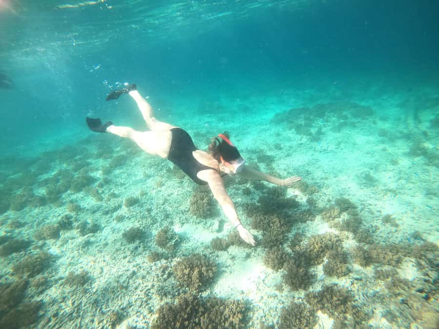 4 Hours Snorkeling 3 Gilis ( Trawangan,Meno, Gili air) - What to Bring So You Stay Comfortable