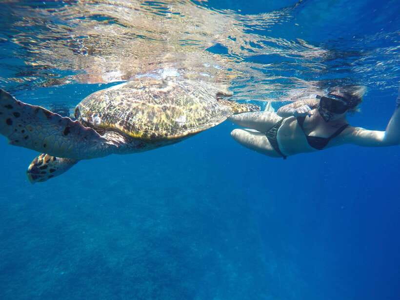 5 Secret Gili Boat Trip & Snorkeling in Southwest Of Lombok - Why the secret Gili route works (and feels different)
