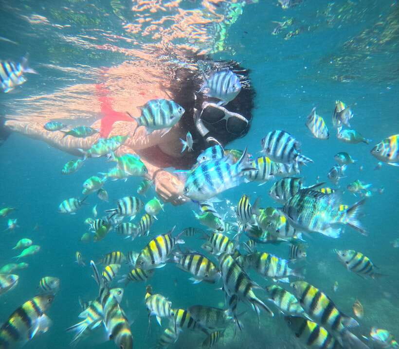 5 Secret Gili Boat Trip & Snorkeling in Southwest Of Lombok - Gili Rengit and Gili Nanggu: more reef time, more variety