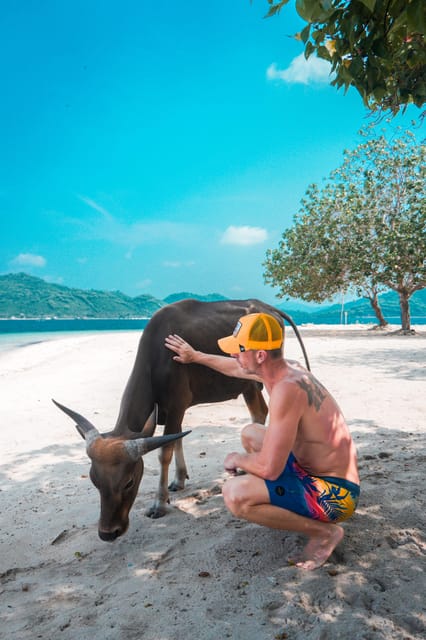 5 Secret Gili Boat Trip & Snorkeling in Southwest Of Lombok - Boat, currents, and how to stay comfortable in the water