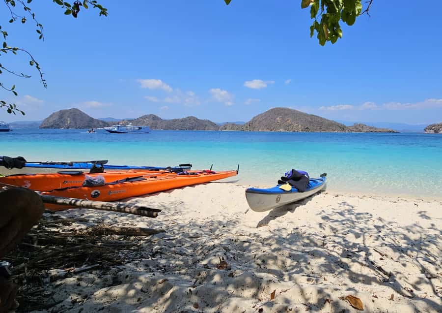6 Hours Fun Day Kayaking - Small Group and Guide Service: Why the Day Feels Under Control