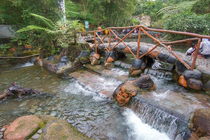 Active Volcano, Rice Field, Hot Spring, Fruit market, Tea Plantation with Lunch - Tangkuban Perahu Volcano: The Main Event Without a Hard Hike
