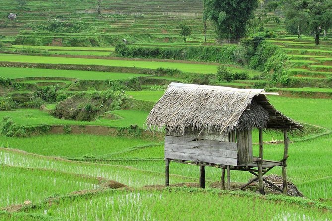 Active Volcano, Rice Field, Hot Spring, Fruit market, Tea Plantation with Lunch - Lunch in Lembang, Plus a Coffee Production Stop