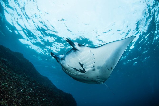 Advanced Open Water Course - Advanced Certification in Lembongan (next to Bali) - Day-by-day itinerary: what each stop is really for