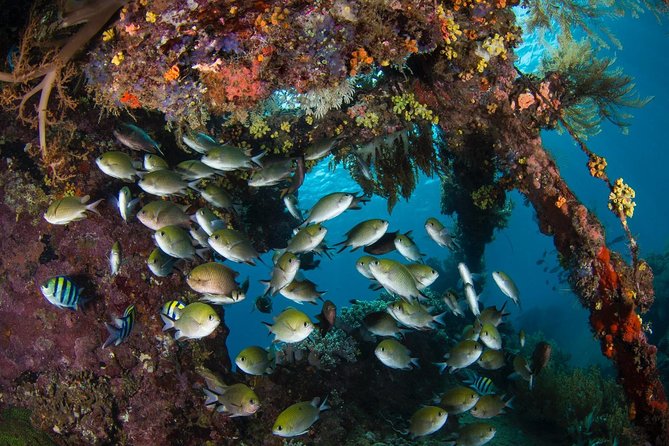 Advanced Open Water Course - Advanced Certification in Tulamben - Underwater navigation training that actually teaches a system