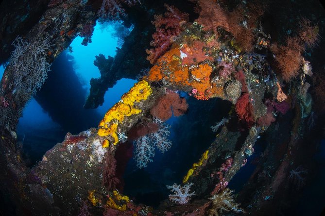 Advanced Open Water Course - Advanced Certification in Tulamben - What you might see: wrecks, marine life, and night sessions