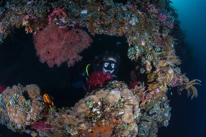 Advanced Open Water Course - Advanced Certification in Tulamben - Choosing your specialty skills without ending up in a random class