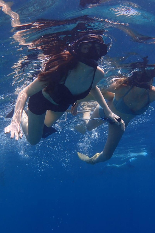 All Include Snorkeling at Menjangan Island - Who this Menjangan snorkeling tour fits best