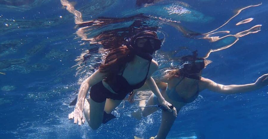 All Include Snorkeling Menjangan Island - Snorkeling Gear, Boat Ride, and What to Expect Underwater
