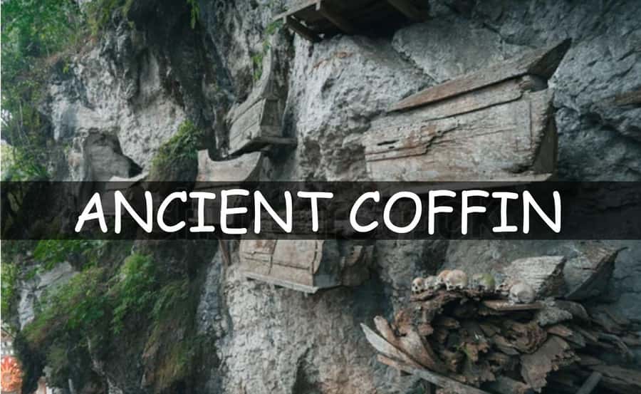 All Inclusive 3-Day Toraja Highland Tour from Makassar - What to bring so Day 2 feels easier than it sounds