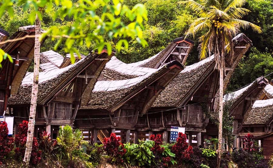 All Inclusive 3-Day Toraja Highland Tour from Makassar - Road time from Makassar: long, but predictable with the right mindset