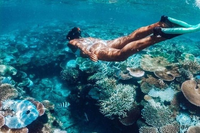 All Inclusive : Bali Blue Lagoon Snorkeling, Lunch, and Transport - Bali Blue Lagoon snorkeling: why Padangbai is the right call