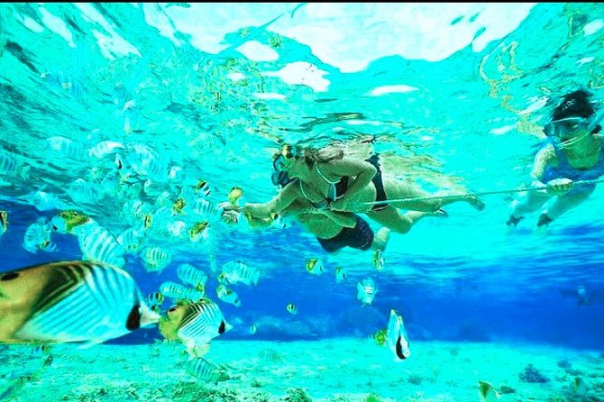 All Inclusive : Bali Blue Lagoon Snorkeling, Lunch, and Transport - Who the guides really are, and why that matters