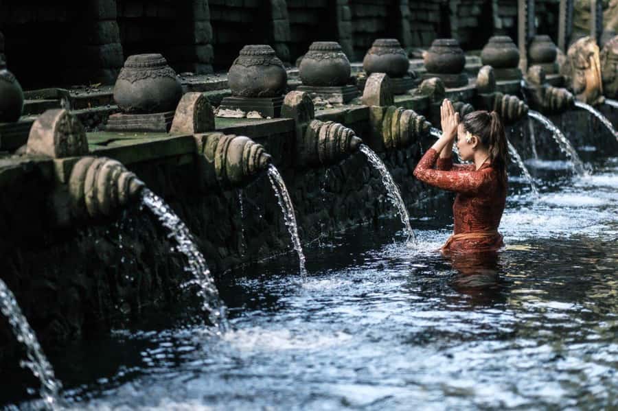 All Inclusive Ubud Private Day Tour - An art village stop, plus the option to add a coffee plantation