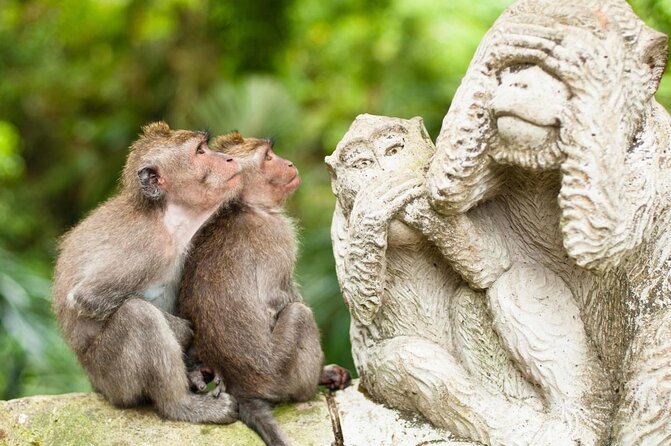 All-Inclusive Ubud Private Tour - Key things to love about this Ubud private tour