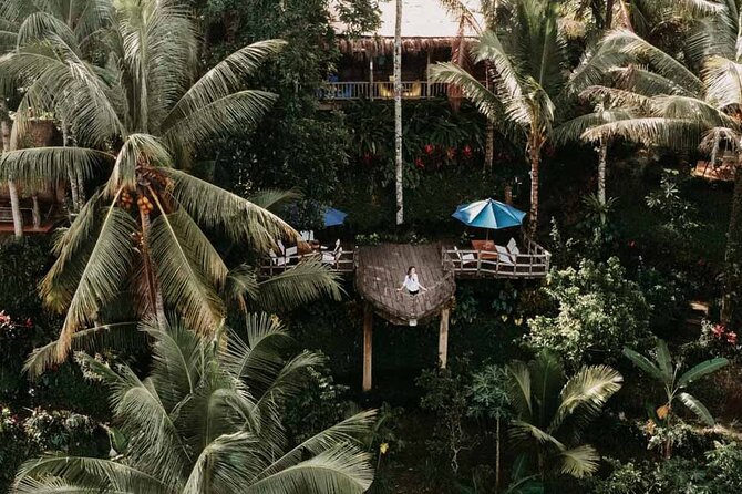 All-Inclusive Ubud Private Tour - Tegalalang Rice Terrace and subak: the irrigation story behind the photos