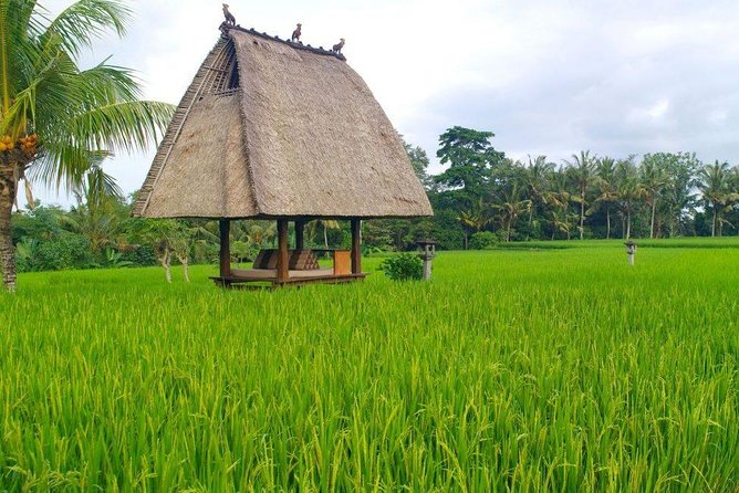 All-Inclusive Ubud Private Tour - Tegenungan Waterfall at the end: 15 meters of roar and greenery
