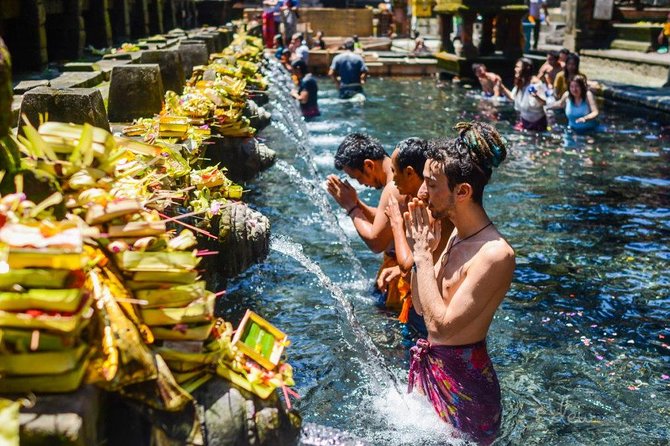 All-Inclusive Ubud Private Tour - Price and value: what $100 buys in Ubud for a private day