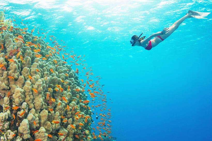 Amed: Snorkeling Tour with Japanese Shipwreck and Coral … - Price and logistics: what $40 really covers