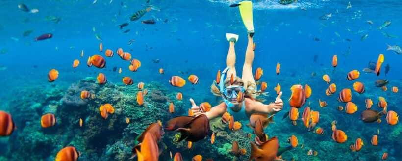 Amed: Snorkeling Tour with Japanese Shipwreck and Coral … - Selang Beach coral garden: the croissant-shaped bay finale