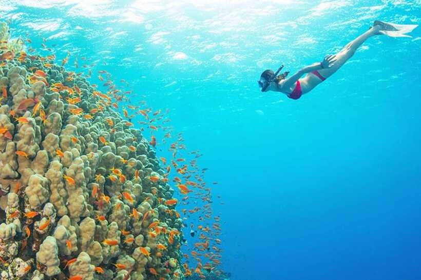 Amed: Snorkeling Tour with Japanese Shipwreck and Coral … - What “good guide support” looks like here