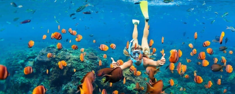 Amed: Snorkeling Tour with Japanese Shipwreck and Coral … - Your checklist: what to bring for Amed water time