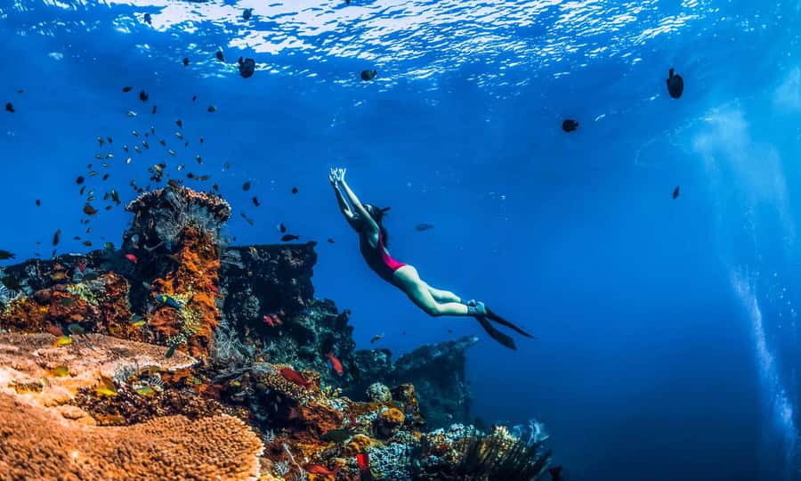 Amed: Snorkeling Trip to the Japanese Shipwreck - Key highlights you will care about