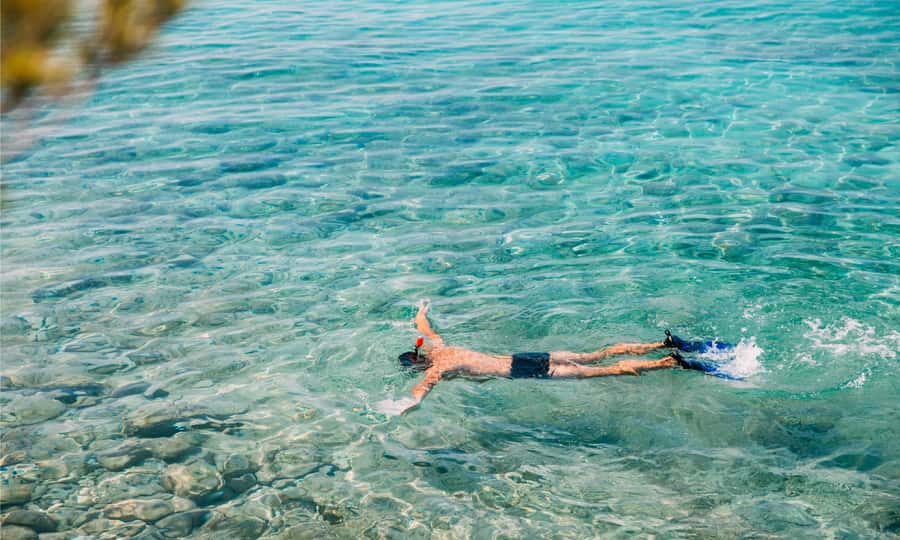 Amed: Snorkeling Trip to the Japanese Shipwreck - Price and value: why $44 can make sense here