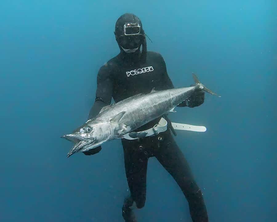 Amed: Spearfishing, Freediving and Catch & Cook Adventure - In-water coaching: what you actually learn (not just what you hear)