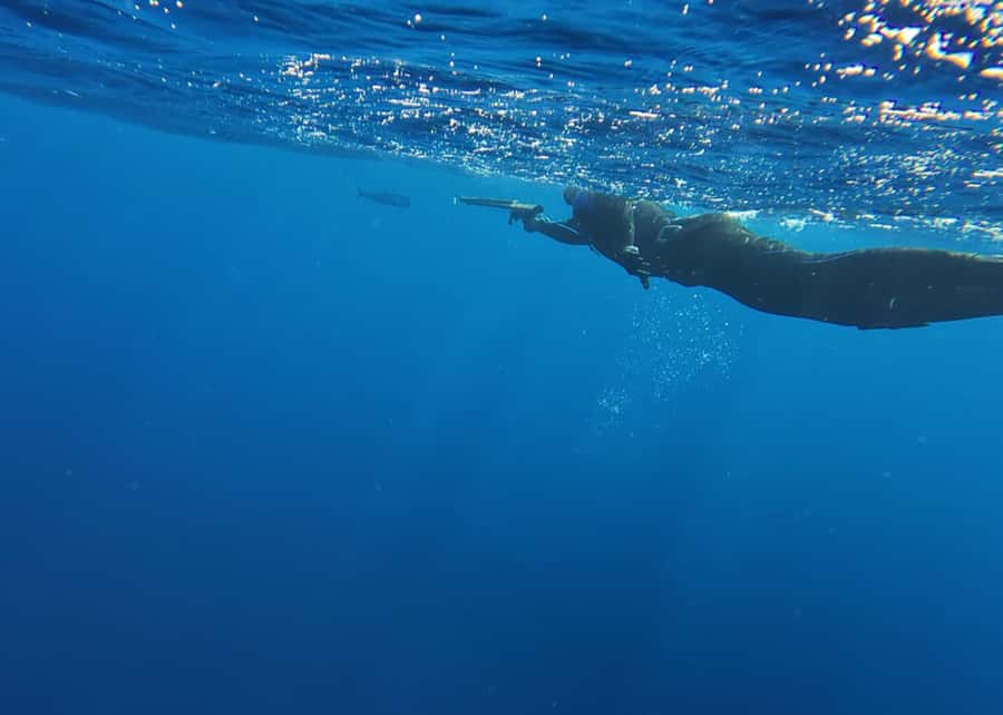 Amed: Spearfishing, Freediving and Catch & Cook Adventure - Catch & cook dinner: the ocean-to-table payoff