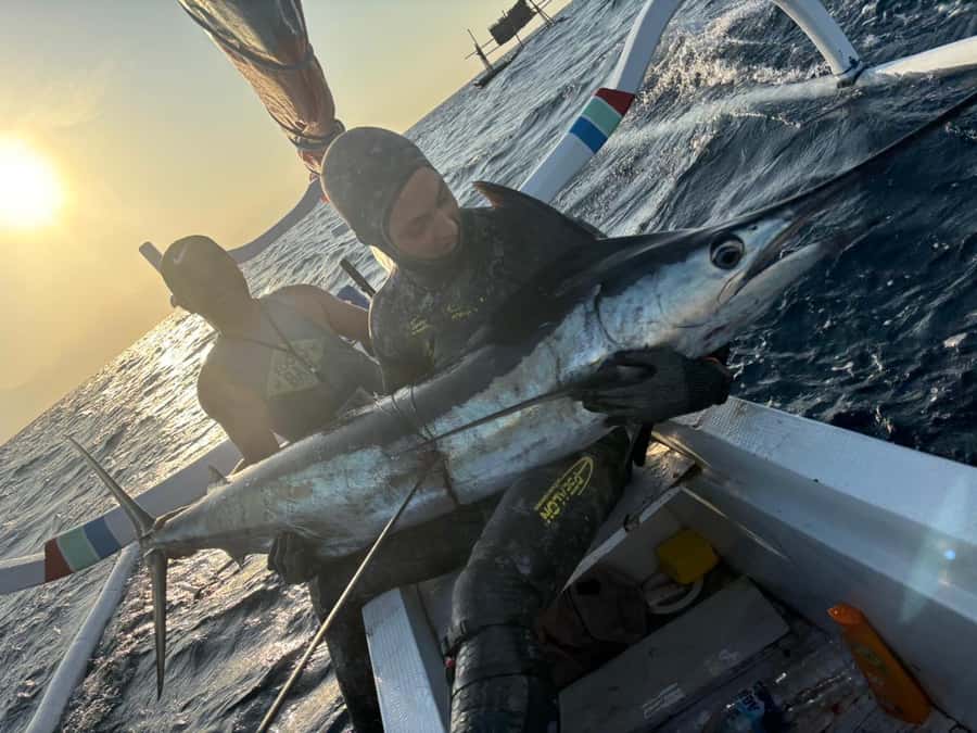 Amed: Spearfishing, Freediving and Catch & Cook Adventure - Price and value: what $277 per group really covers